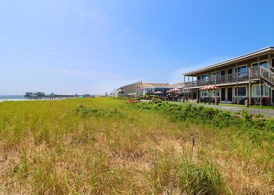 Grasses Protect The Beach